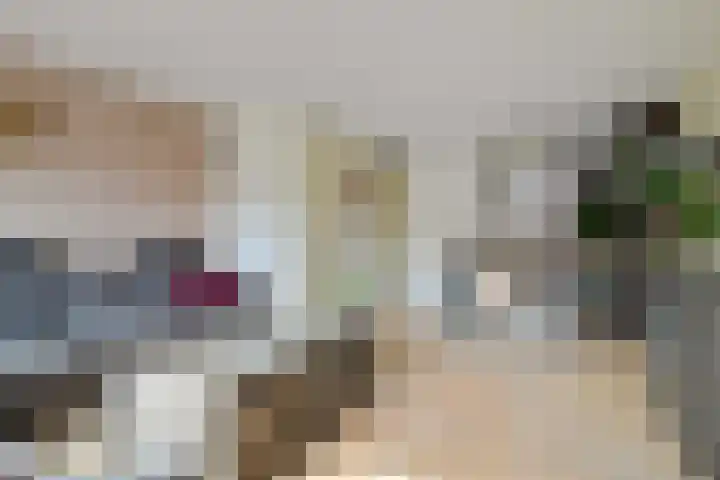 Plataanstraat 12 Spijkenisse thumbnail 9