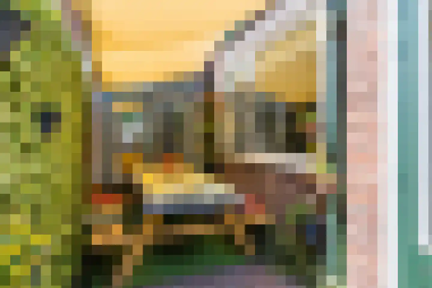 Plataanstraat 14 Tilburg thumbnail 36