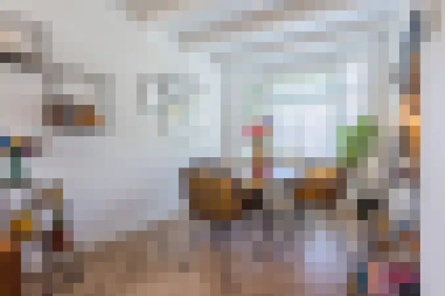 Plataanstraat 14 Tilburg thumbnail 4
