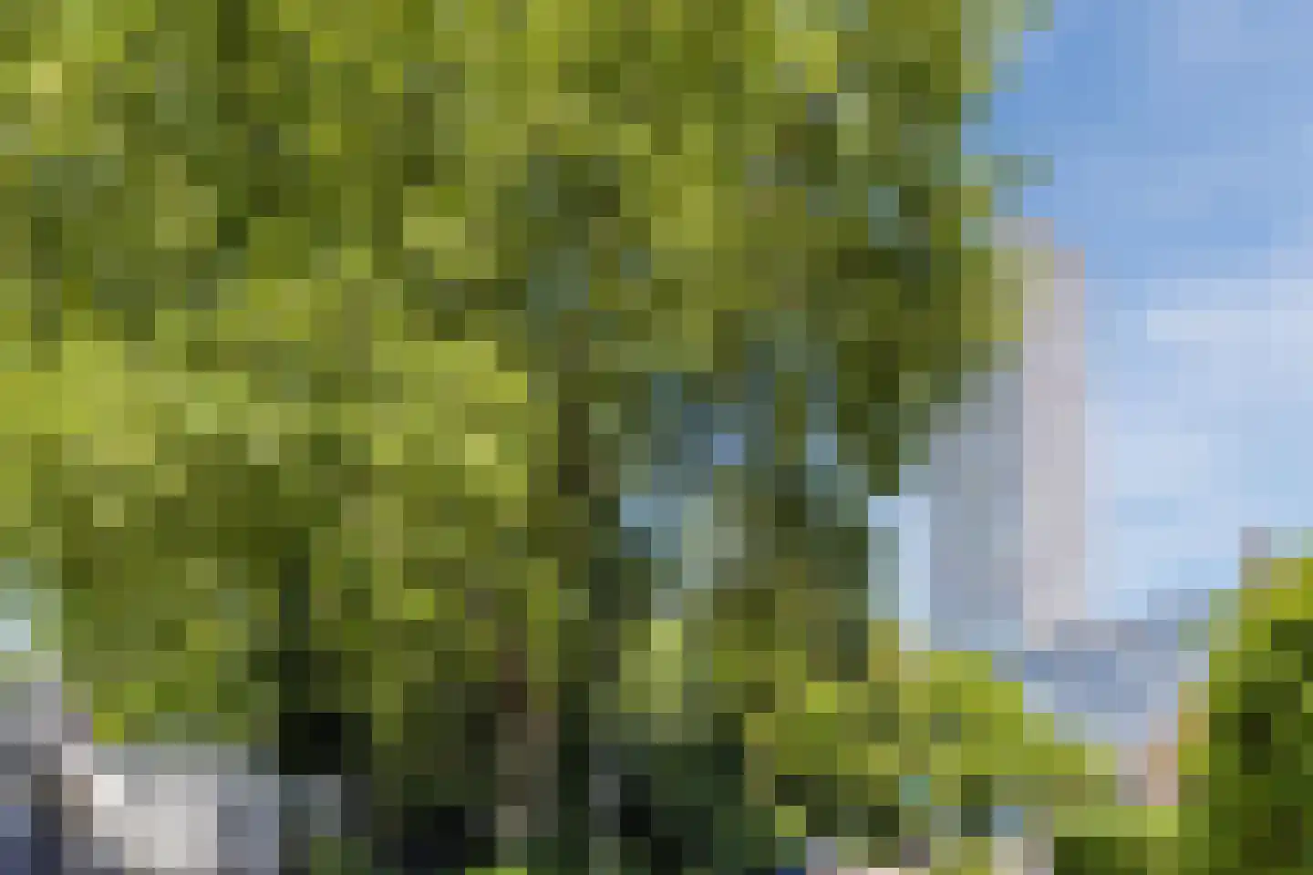Plataanstraat 14 Tilburg thumbnail 43