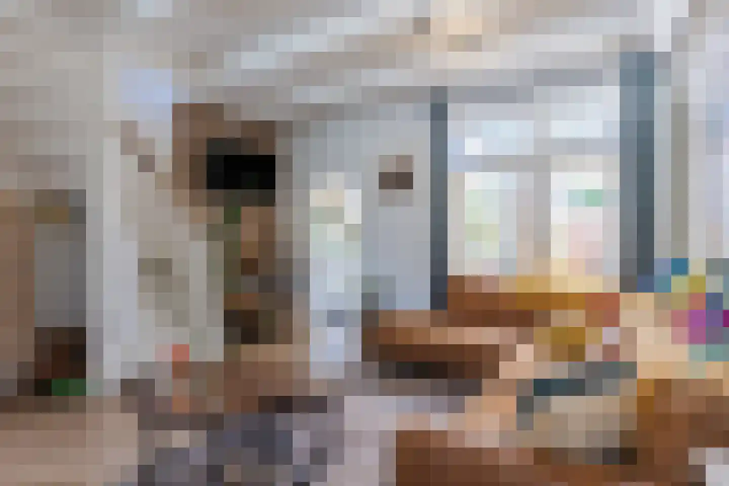 Plataanstraat 14 Tilburg thumbnail 5