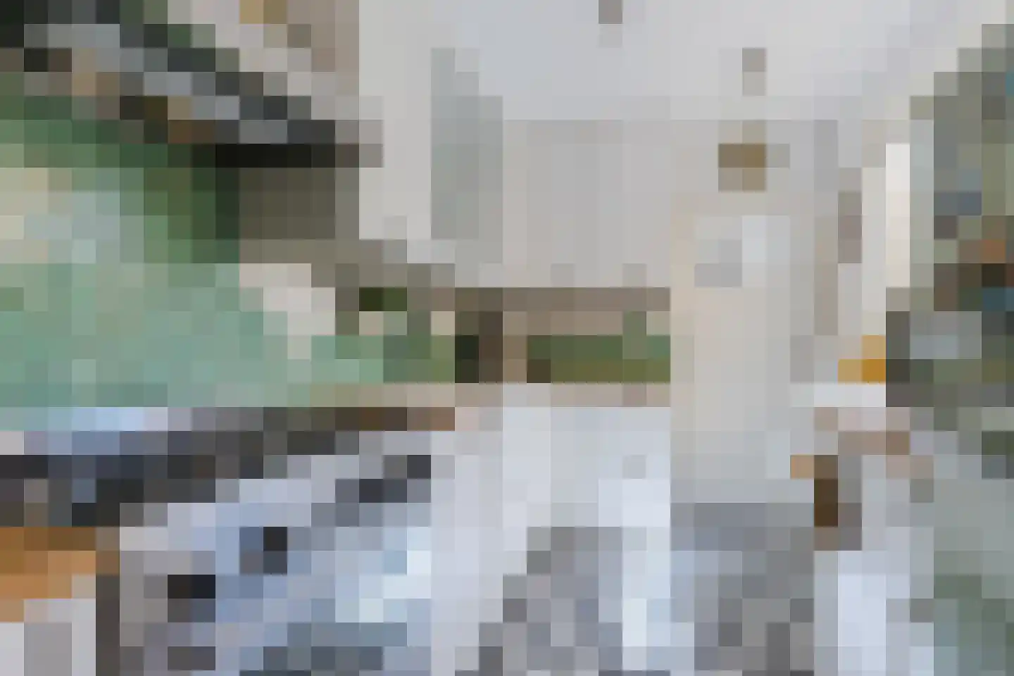 Plataanstraat 14 Tilburg thumbnail 8