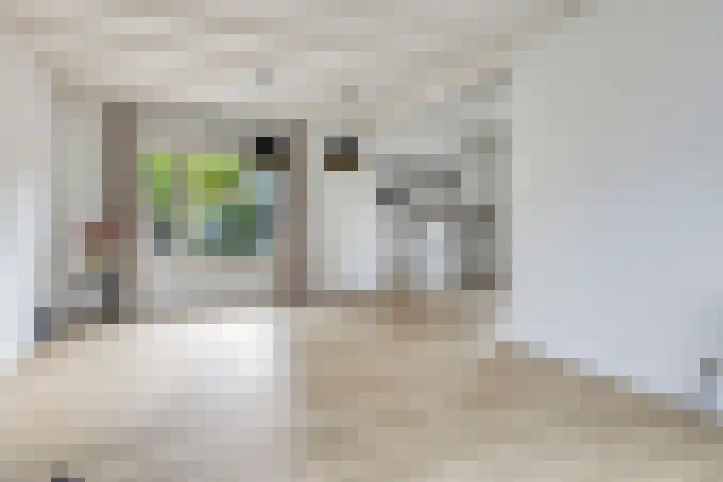 Plataanstraat 15 Sas van Gent thumbnail 11