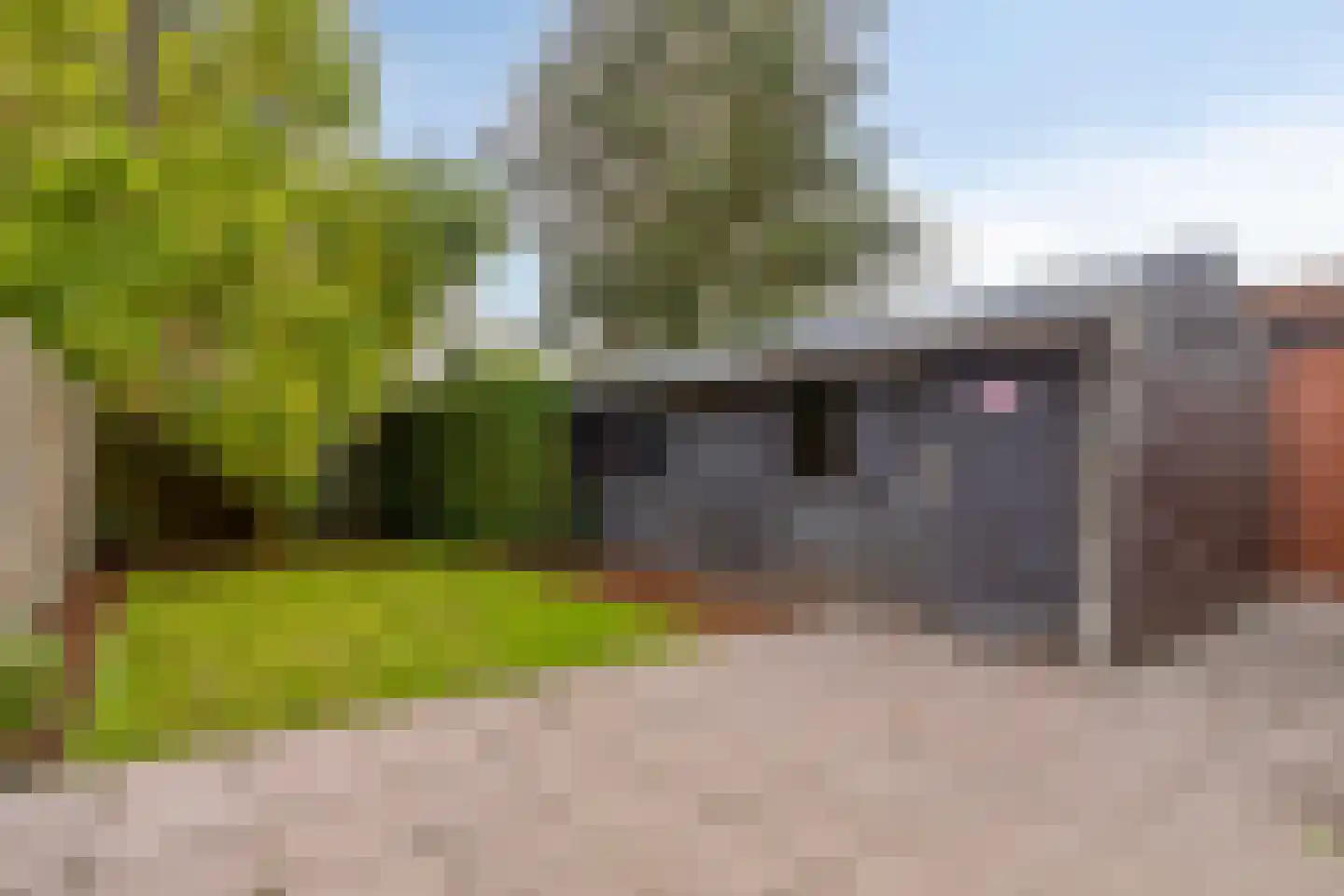 Plataanstraat 15 Sas van Gent thumbnail 29