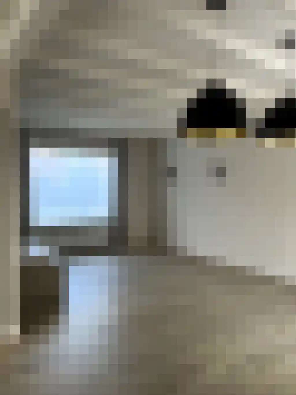 Plataanstraat 15 Sas van Gent thumbnail 4