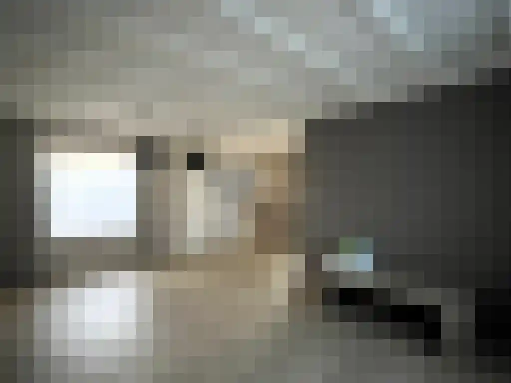 Plataanstraat 15 Sas van Gent thumbnail 5
