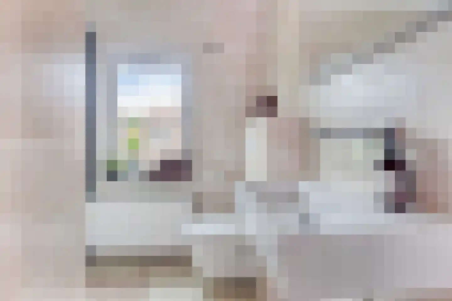 Plataanstraat 15 Sas van Gent thumbnail 5