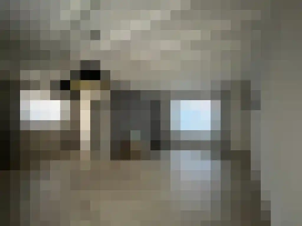 Plataanstraat 15 Sas van Gent thumbnail 6