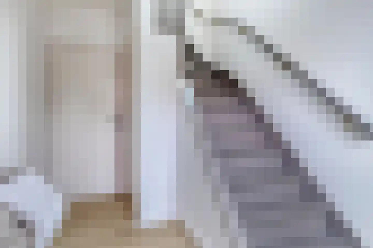 Plataanstraat 15 Sas van Gent thumbnail 8