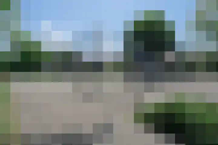 Plataanstraat 16 Bergen op Zoom thumbnail 19