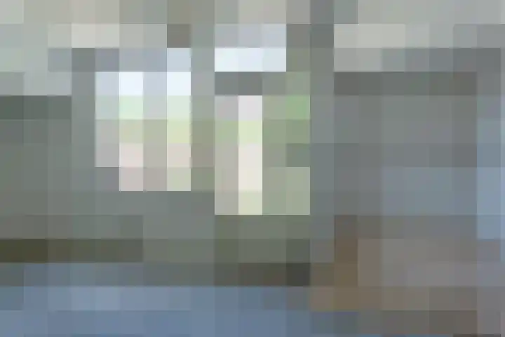 Plataanstraat 16 Bergen op Zoom thumbnail 5