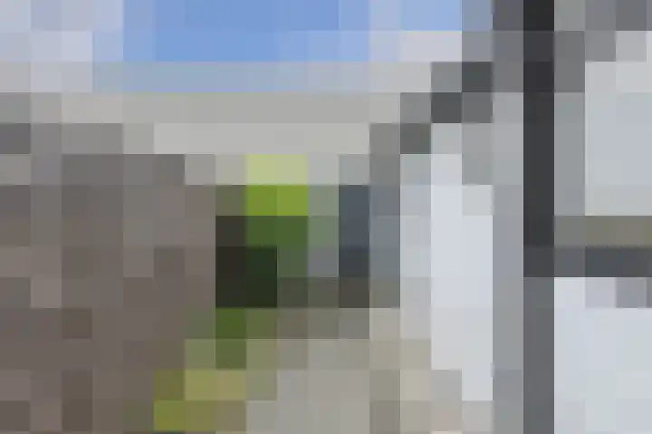 Plataanstraat 17 Breda thumbnail 28