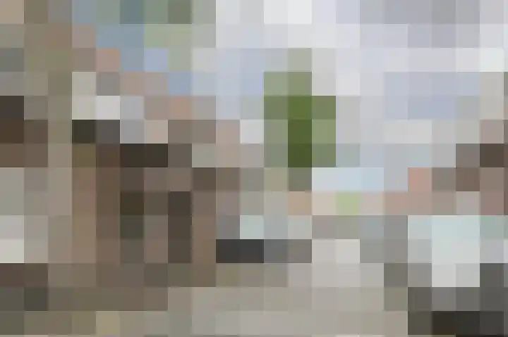 Plataanstraat 17 Breda thumbnail 30