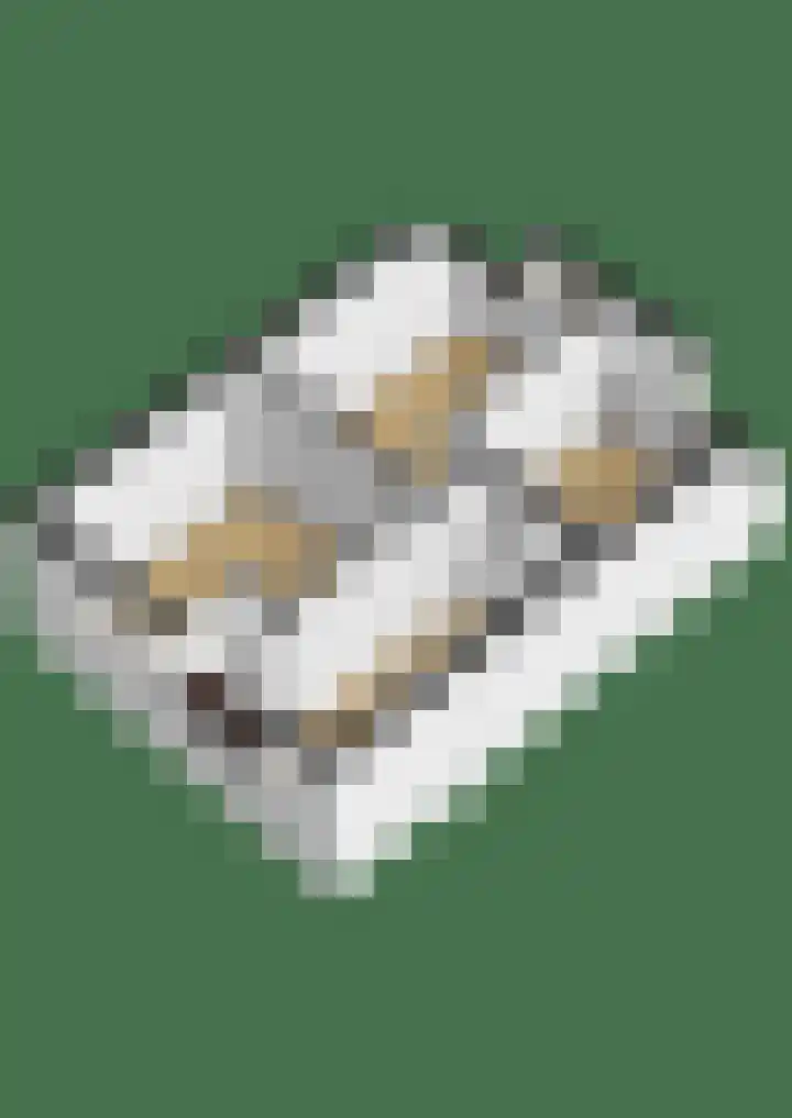 Plataanstraat 17 Breda thumbnail 37