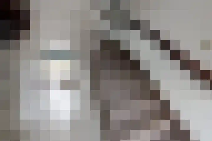Plataanstraat 17 Fijnaart thumbnail 10