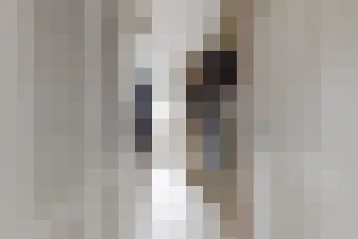 Plataanstraat 17 Fijnaart thumbnail 11