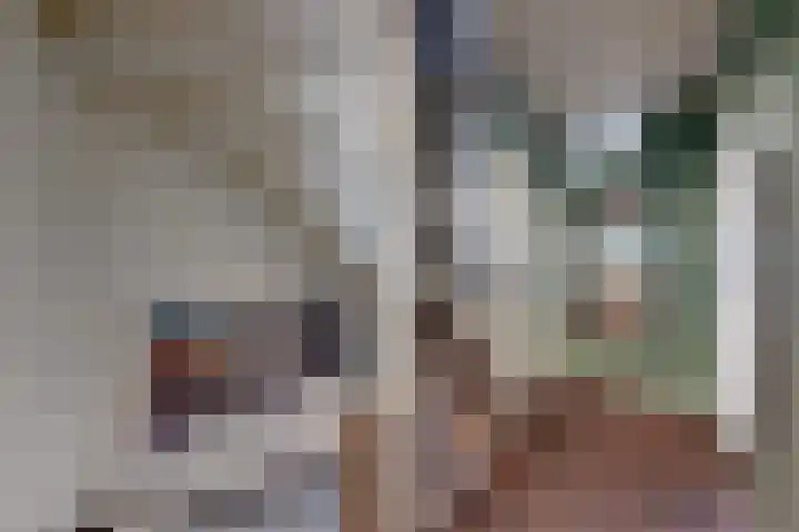 Plataanstraat 17 Fijnaart thumbnail 17