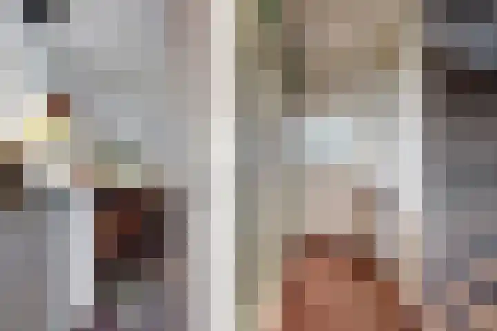 Plataanstraat 17 Fijnaart thumbnail 19
