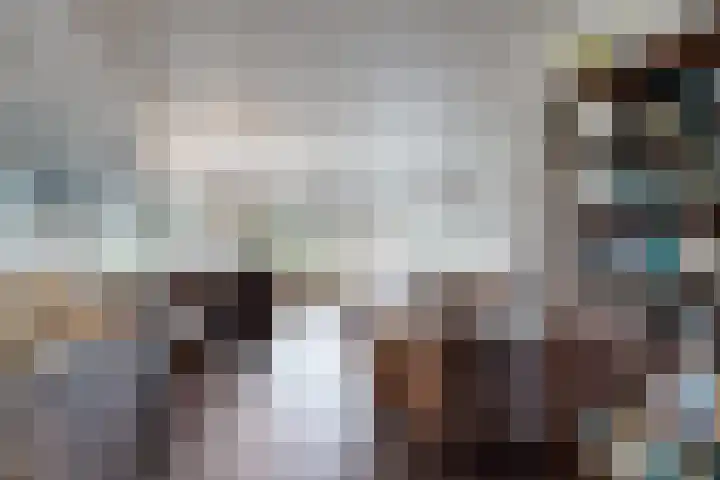 Plataanstraat 17 Fijnaart thumbnail 21