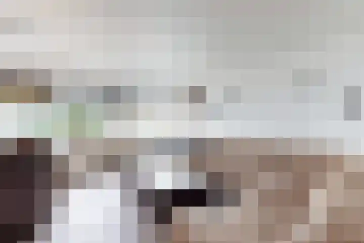 Plataanstraat 17 Fijnaart thumbnail 22