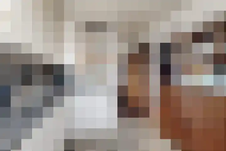 Plataanstraat 17 Fijnaart thumbnail 31