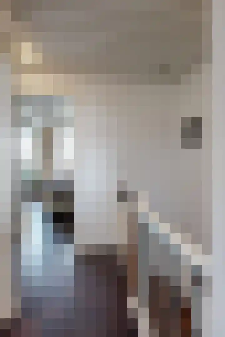 Plataanstraat 17 Fijnaart thumbnail 36