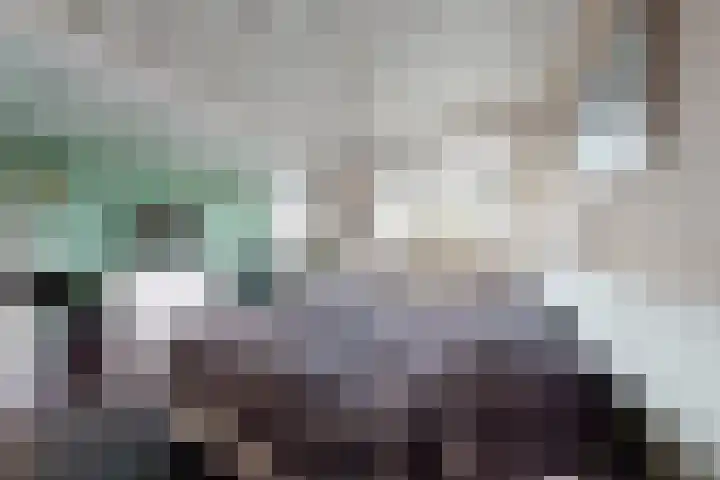 Plataanstraat 17 Fijnaart thumbnail 38