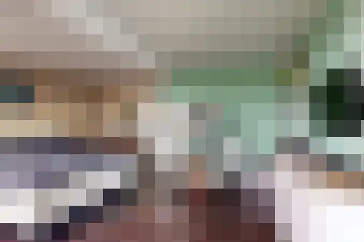 Plataanstraat 17 Fijnaart thumbnail 42