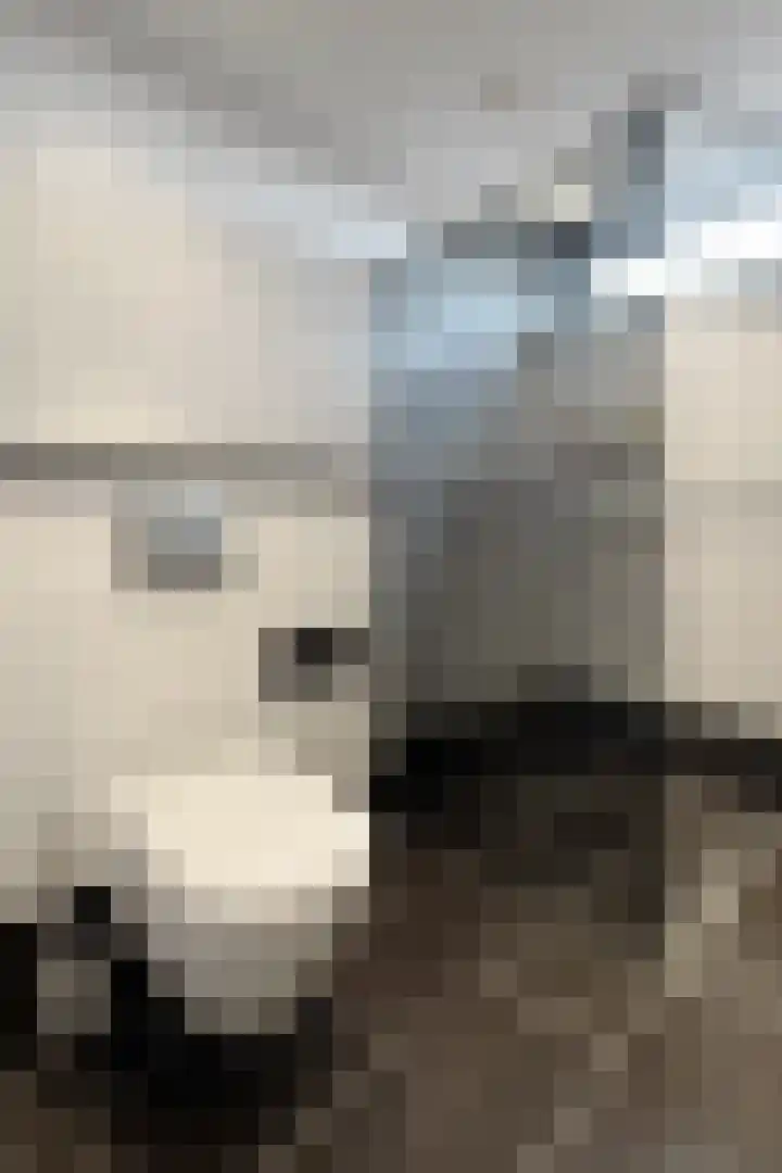 Plataanstraat 17 Fijnaart thumbnail 48