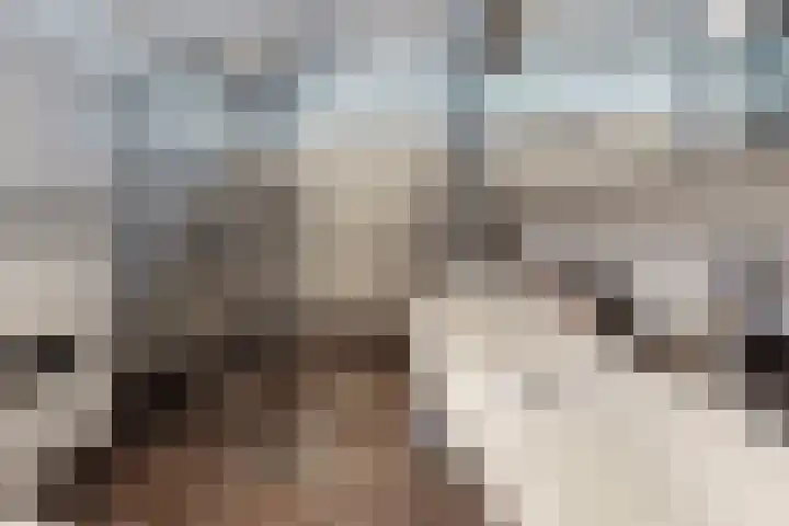 Plataanstraat 17 Fijnaart thumbnail 5