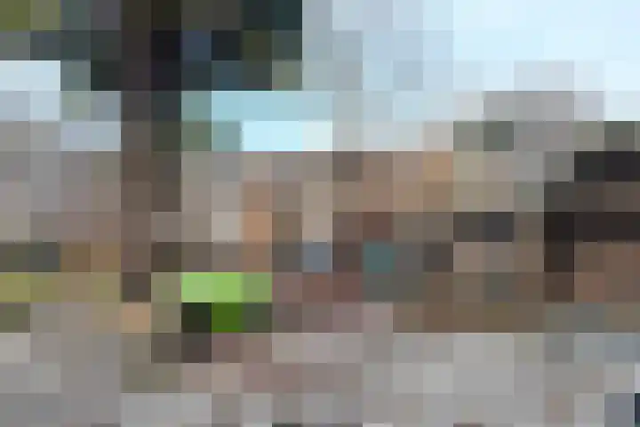 Plataanstraat 17 Fijnaart thumbnail 51