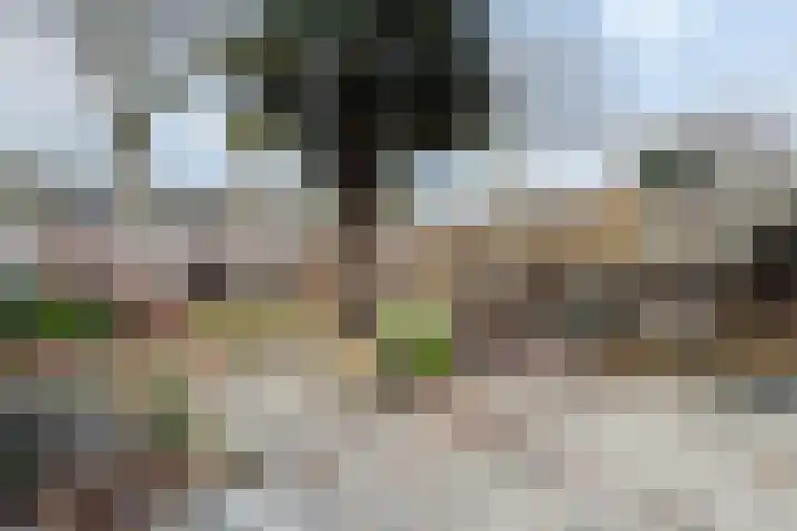Plataanstraat 17 Fijnaart thumbnail 52