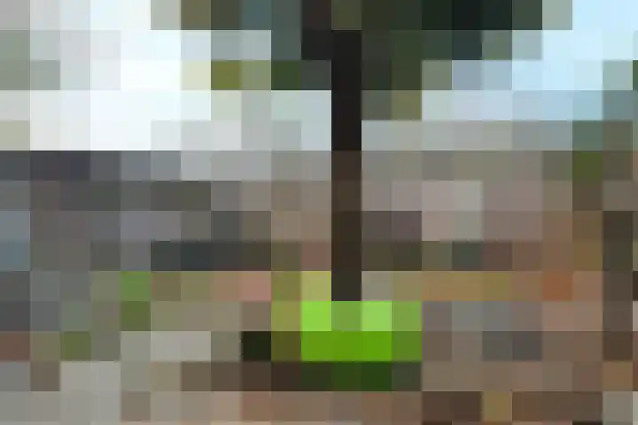 Plataanstraat 17 Fijnaart thumbnail 53