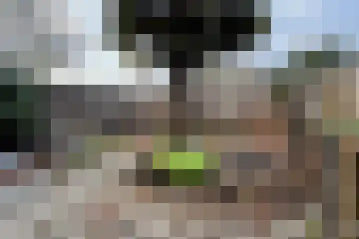 Plataanstraat 17 Fijnaart thumbnail 54
