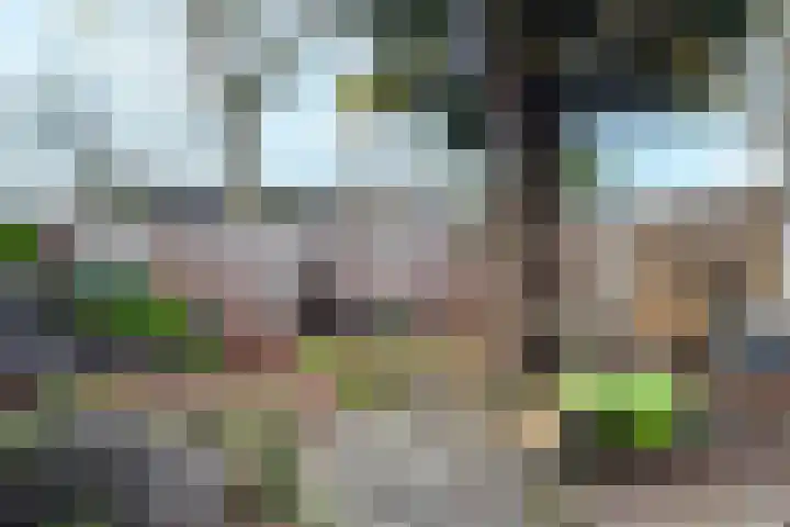 Plataanstraat 17 Fijnaart thumbnail 55