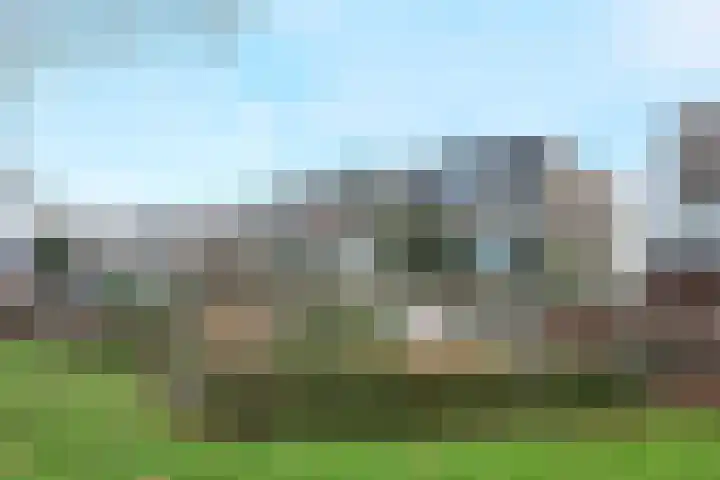 Plataanstraat 17 Fijnaart thumbnail 61
