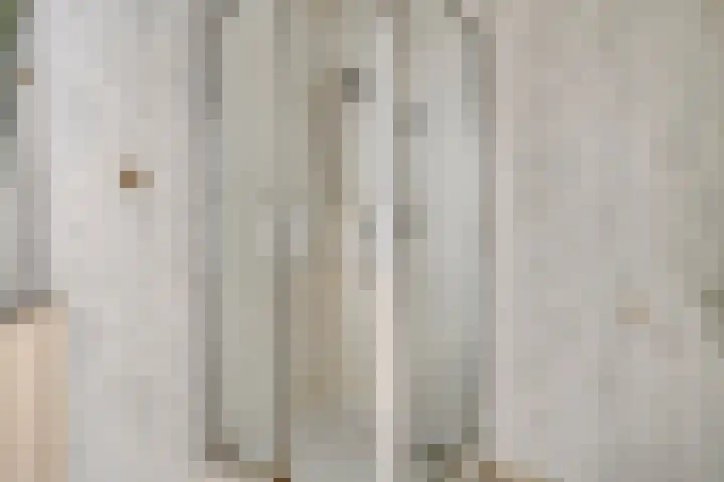 Plataanstraat 17 Heerle thumbnail 18