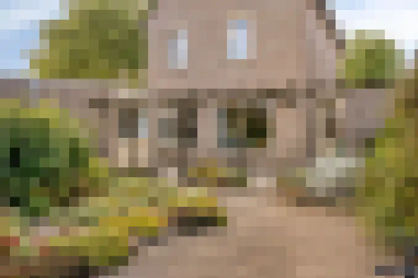 Plataanstraat 17 Heerle thumbnail 36