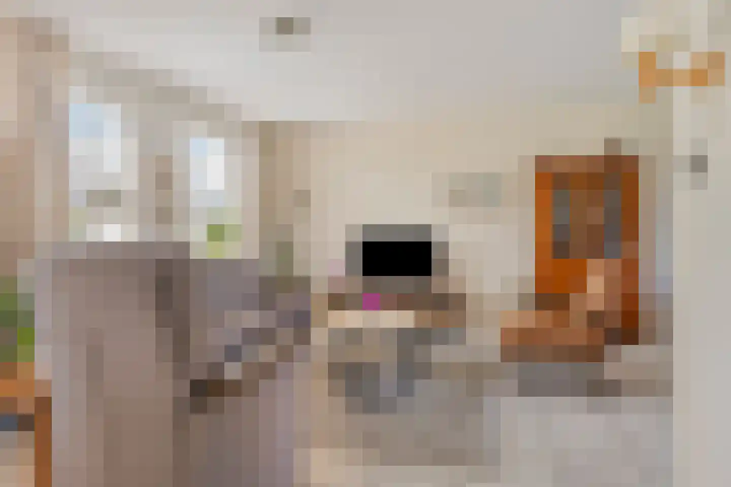 Plataanstraat 17 Heerle thumbnail 9