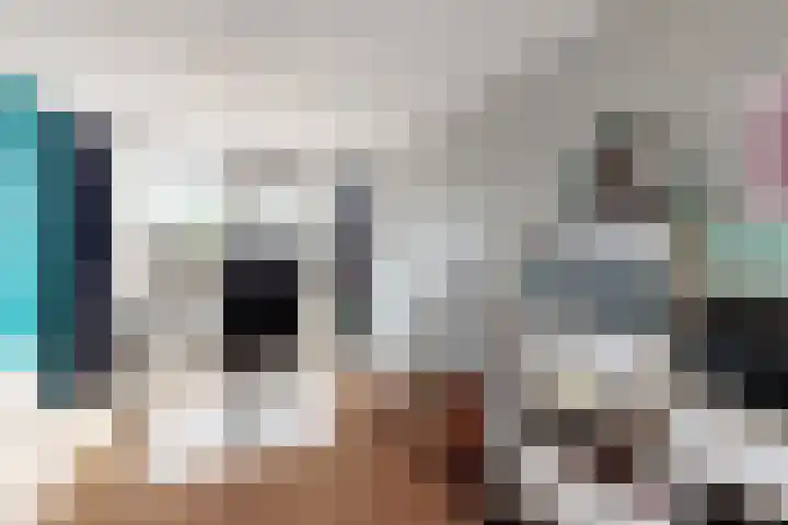 Plataanstraat 19 Fijnaart thumbnail 11