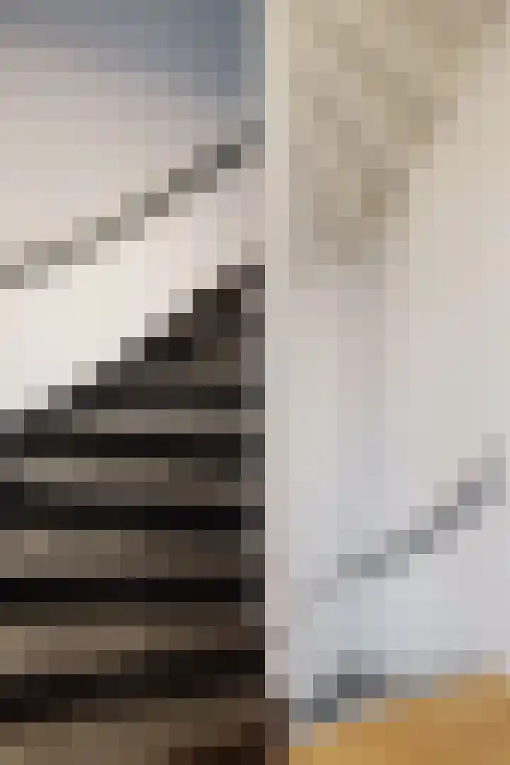 Plataanstraat 19 Fijnaart thumbnail 14