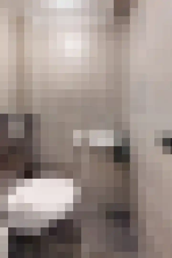 Plataanstraat 19 Fijnaart thumbnail 30