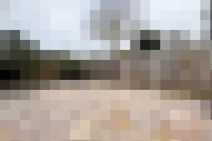 Plataanstraat 19 Fijnaart thumbnail 43