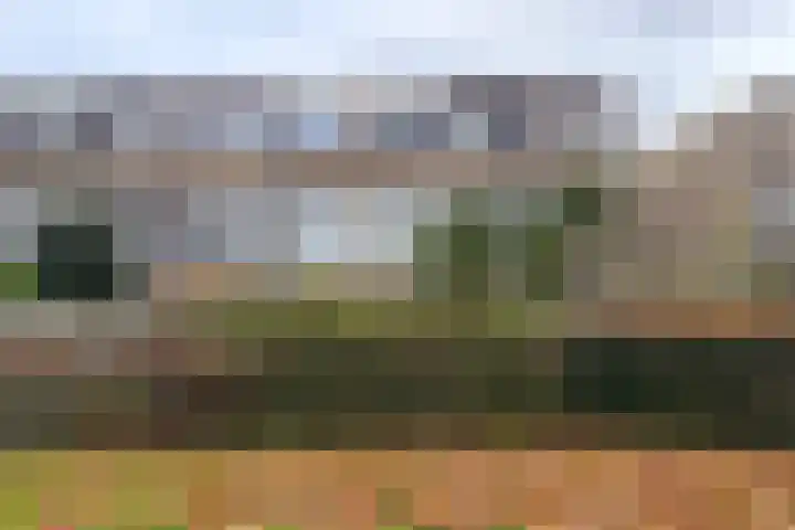 Plataanstraat 19 Fijnaart thumbnail 48