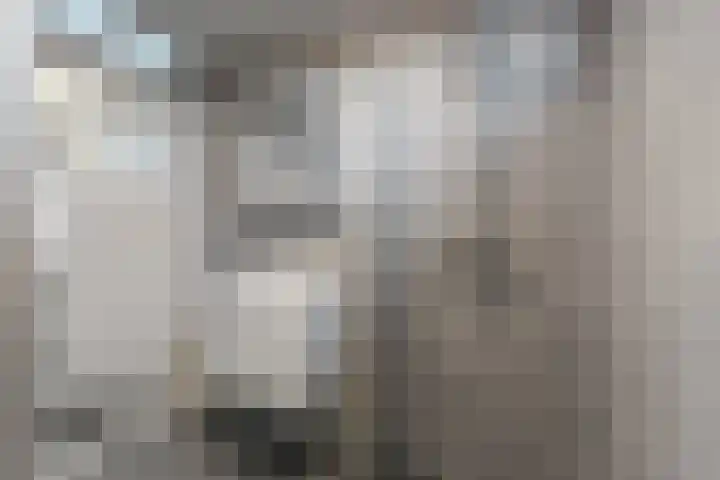 Plataanstraat 19 Fijnaart thumbnail 6