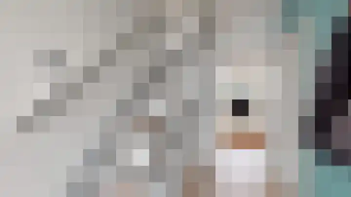 Plataanstraat 19 Fijnaart thumbnail 9