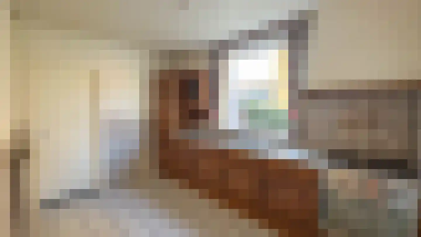 Plataanstraat 19 Zundert thumbnail 11