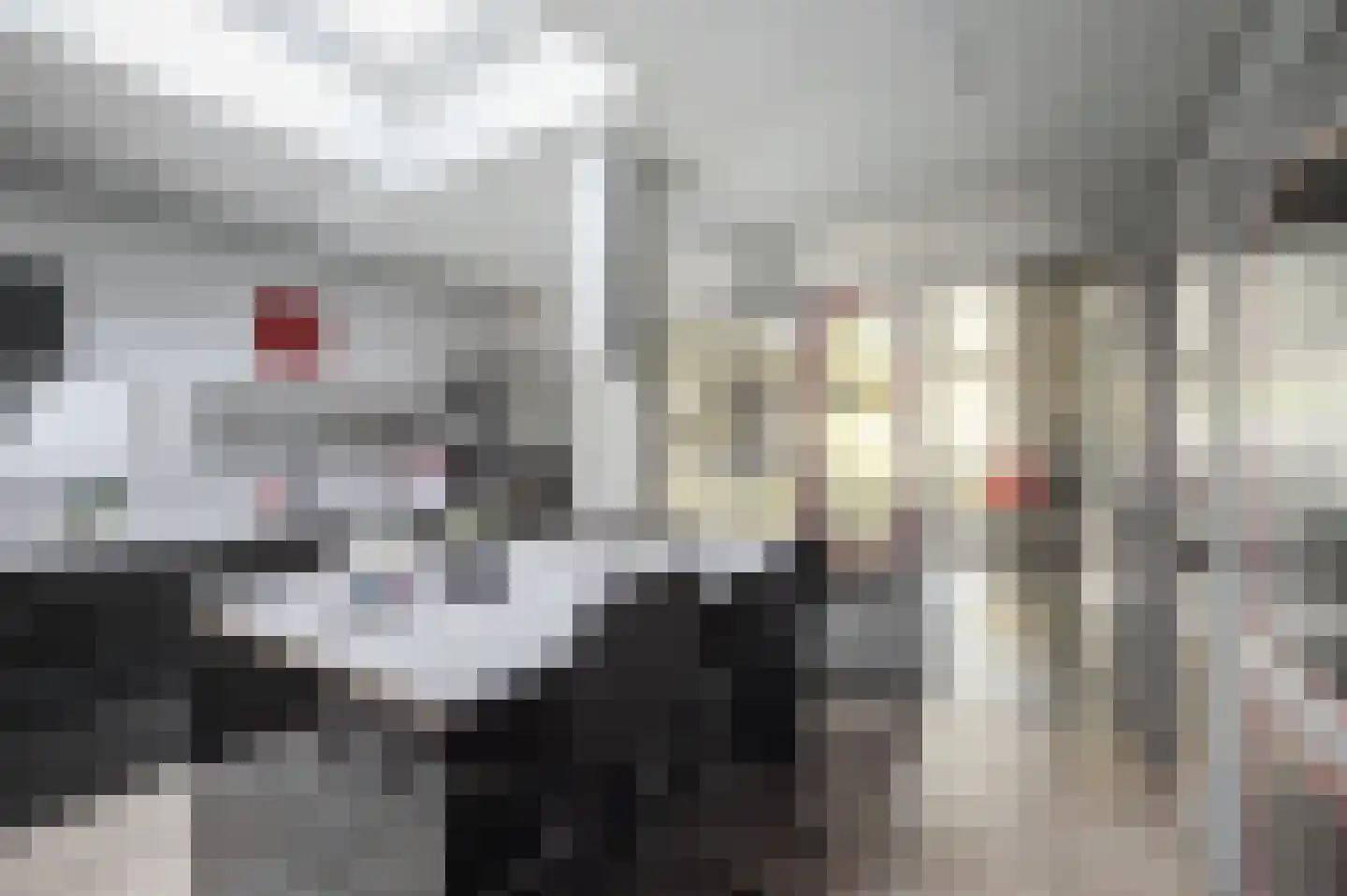 Plataanstraat 2 Sas van Gent thumbnail 14
