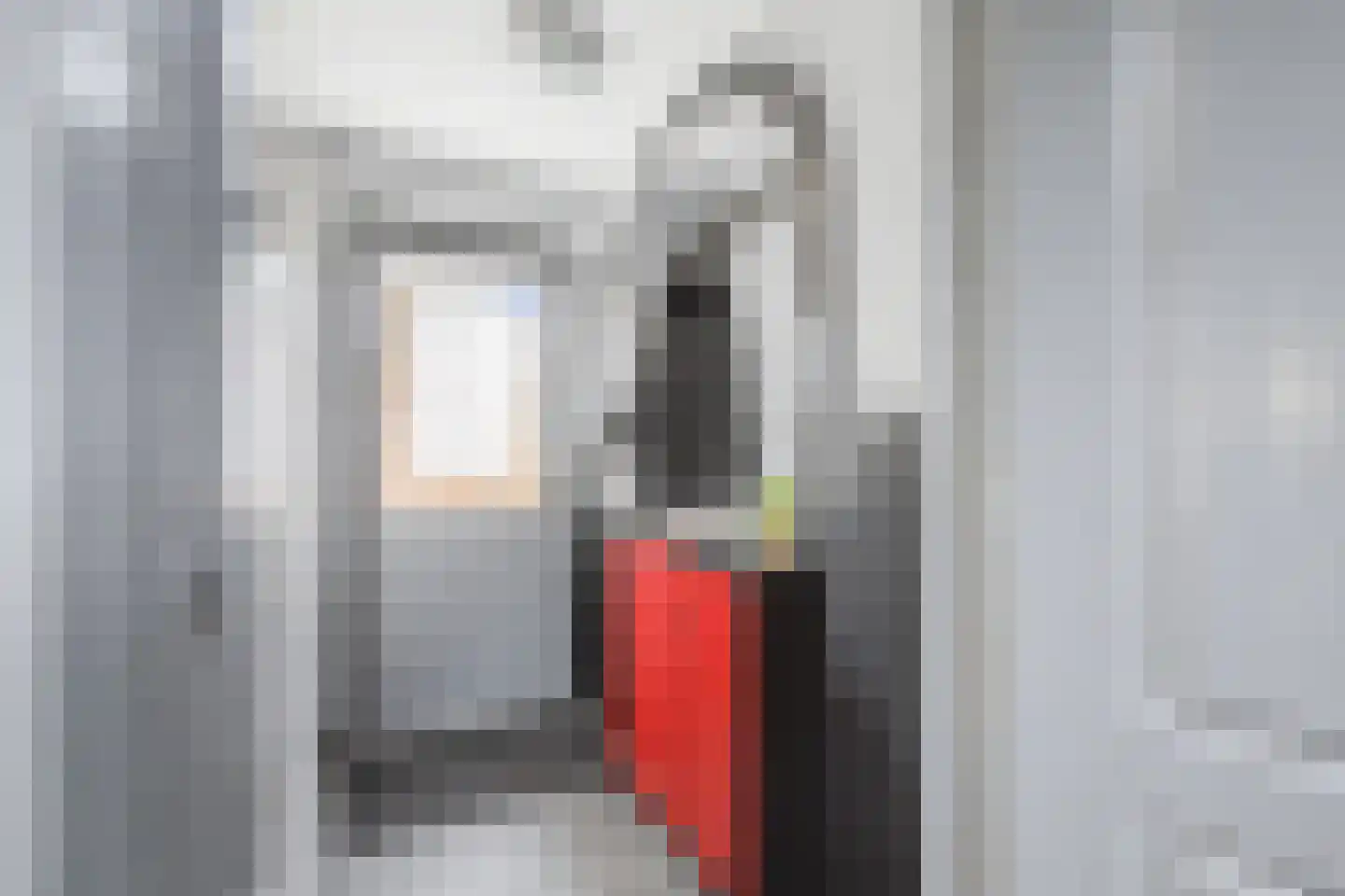 Plataanstraat 2 Sas van Gent thumbnail 17