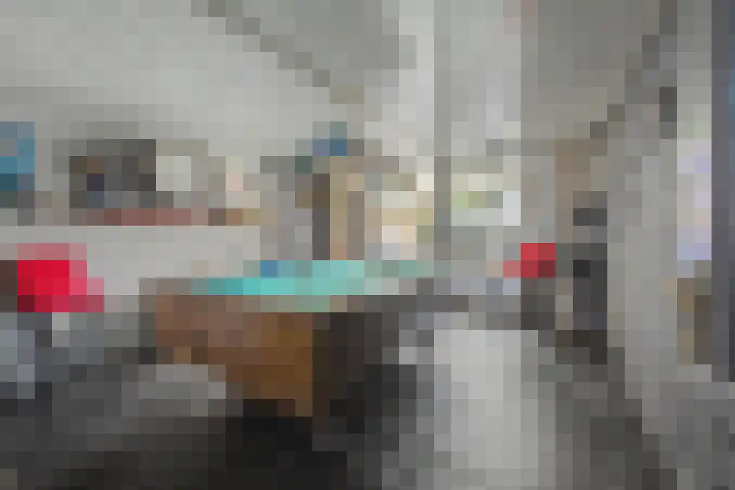 Plataanstraat 2 Sas van Gent thumbnail 20